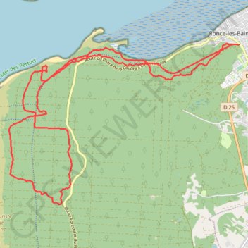 Singles de la Forêt de Ronces les bains (17) GPS track, route, trail