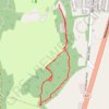 Conlig Wood main path GPS track, route, trail